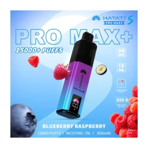 Hayati Pro Max+ Blueberry Raspberry 15000 Puffs device